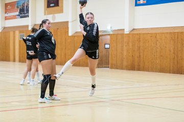 Bild 177 - wBJ TSV Ellerau - HSG Schue/We/Re : Ergebnis: 23:15